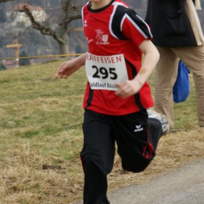 boesingerwaldlauf2013_-076