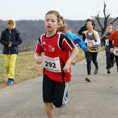 boesingerwaldlauf2013_-085