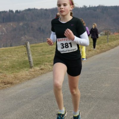 boesingerwaldlauf2013_-205