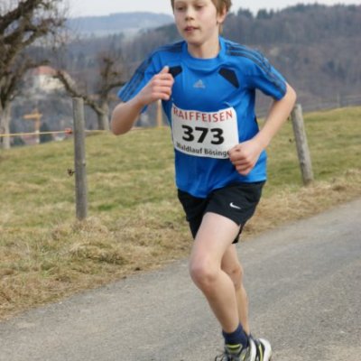 boesingerwaldlauf2013_-213