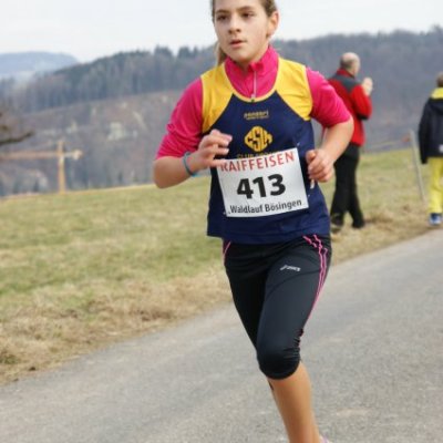 boesingerwaldlauf2013_-214