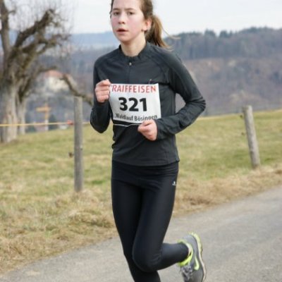 boesingerwaldlauf2013_-219