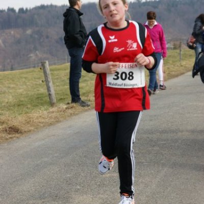 boesingerwaldlauf2013_-244