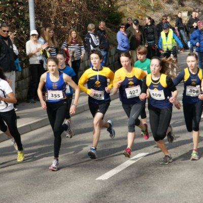 boesingerwaldlauf2013_-259
