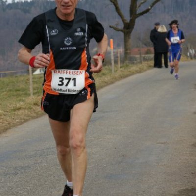 boesingerwaldlauf2013_-463
