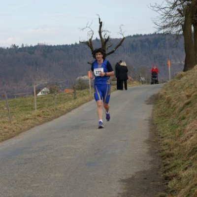 boesingerwaldlauf2013_-465