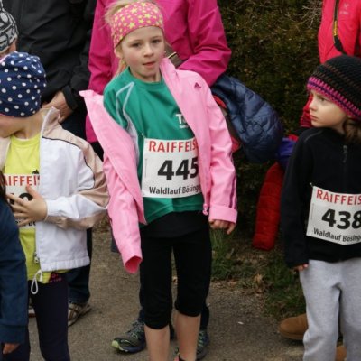 2015-03-15 BoesingerWaldlauf_2015 001.JPG
