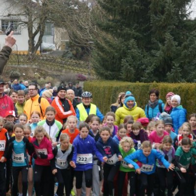2015-03-15 BoesingerWaldlauf_2015 186.JPG