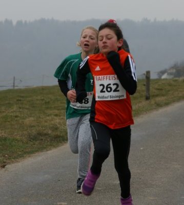 2015-03-15 BoesingerWaldlauf_2015 208.JPG