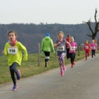 Waldlauf-Boesingen_12.03.17.17_-002