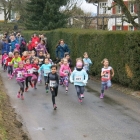 Boesinger-Waldlauf_2018_005